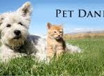 pet dander